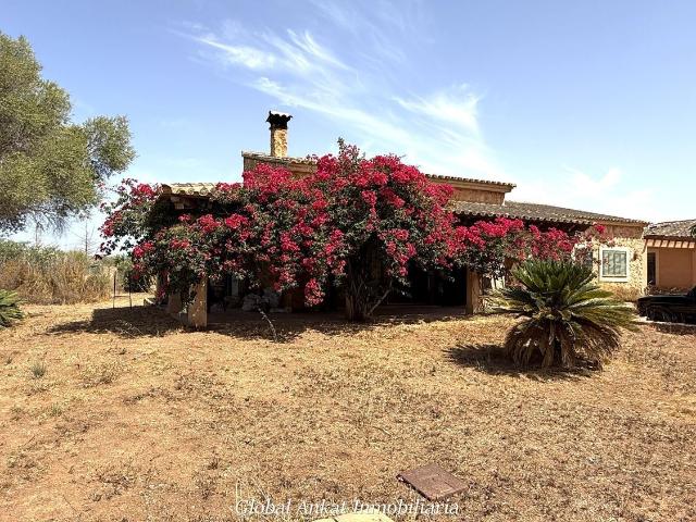Casa rústica, Llucmajor