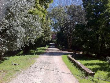 Casa rústica, Luso