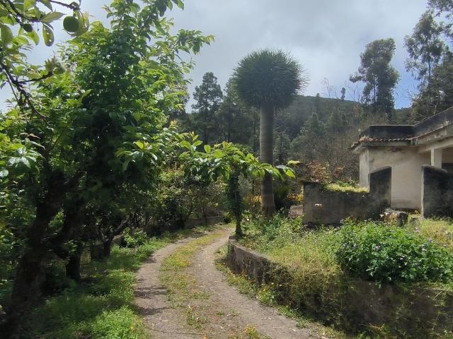 Casa rústica, Moya