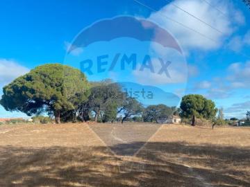 Penteado, Moita, Concelho de Moita, Distrito de Setúbal