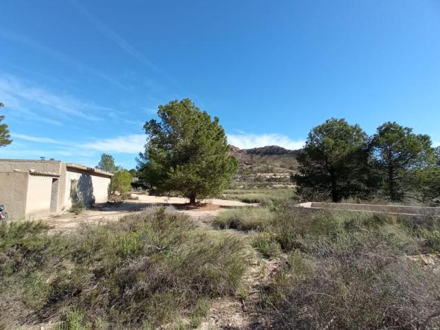 Casa rústica, Cañada del Fenollar