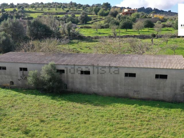 Casa rústica, Manacor