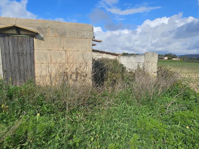 Casa rústica, Manacor