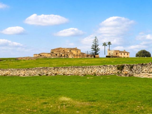 Casa rústica, Manacor