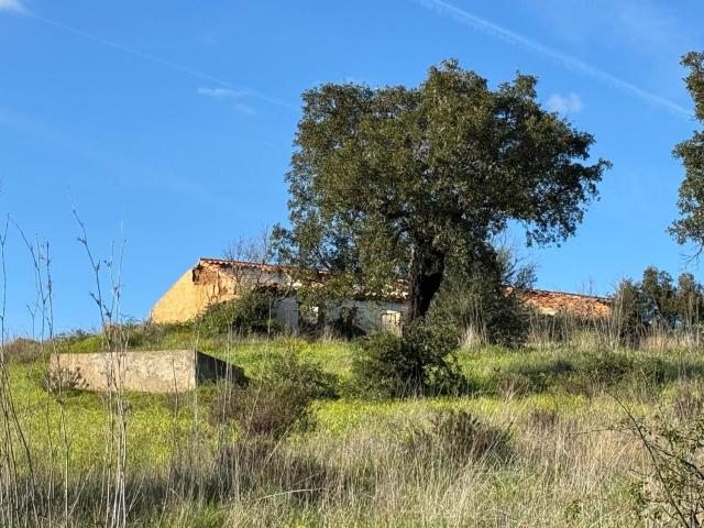Casa rústica, Marmelete