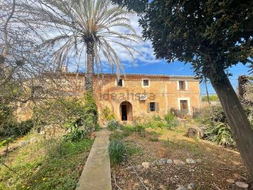 Figueral Es, Mallorca, Islas Baleares