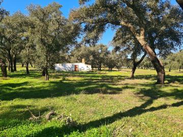 Foros do Locário, São Domingos e Vale de Água, Santiago do Cacém, Distrito de Setúbal