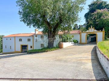 Casa rústica, Constância