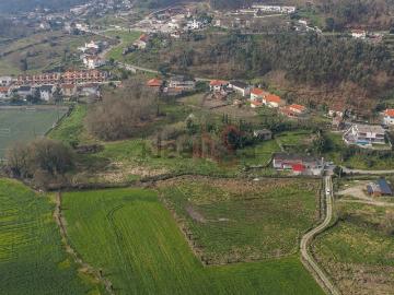 Quinta à venda em Guimarães - Quintal