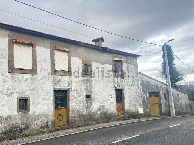 Casa rústica, Olival