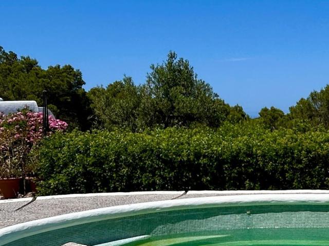 Casa rústica, Sant Joan de Labritja
