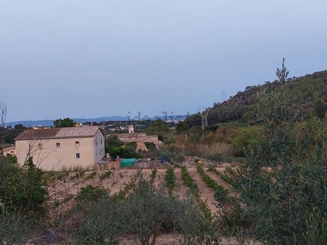Casa rústica, Sant Martí Sarroca