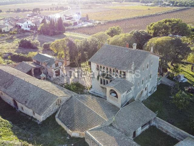 Casa rústica, Sant Pere de Ribes