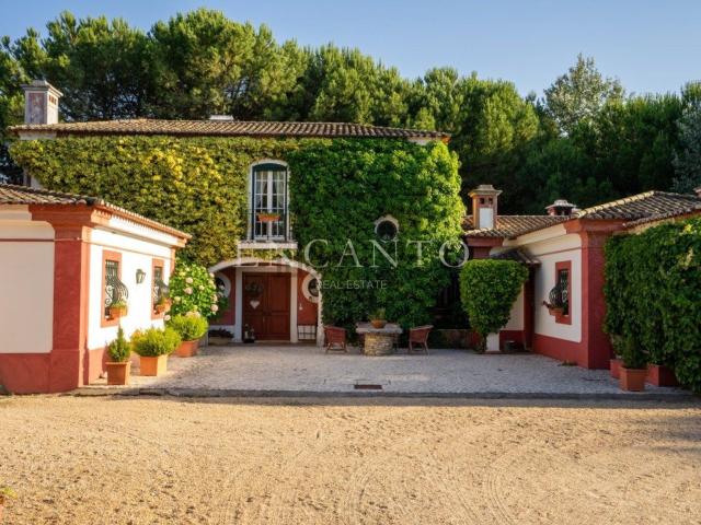 Casa rústica, Santo Estevão