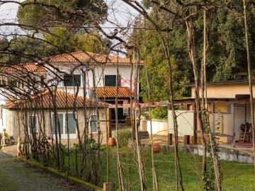 Casa rústica, Santo Tirso Couto Burgães