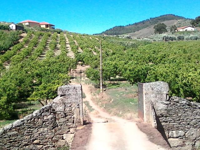 Casa rústica, Santa Comba de Vilariça