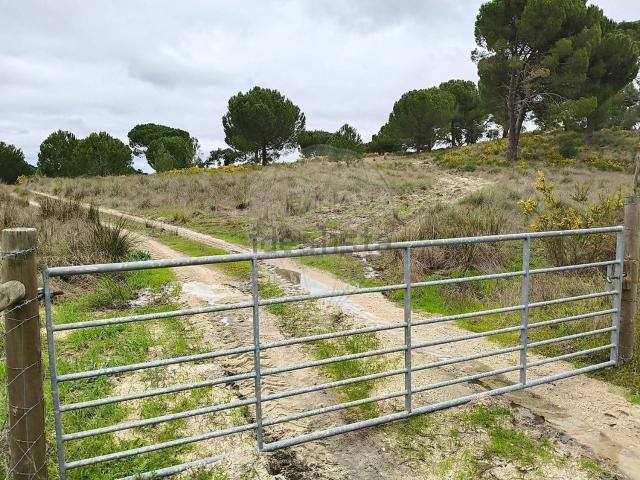 Casa rústica, Coruche