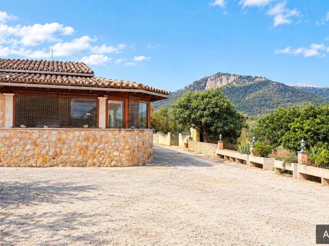 Casa rústica, Selva