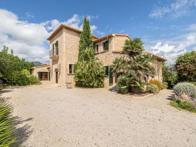 Casa rústica, Selva