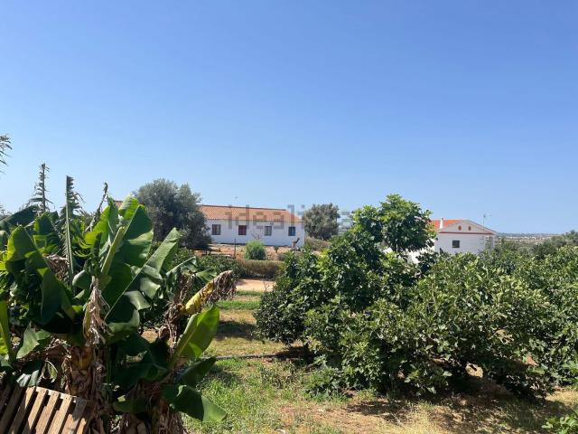 Casa rústica, Silves