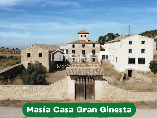 Casa rústica, Suchs