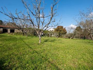 Bitarães, Paredes, Concelho de Paredes, Distrito de Porto