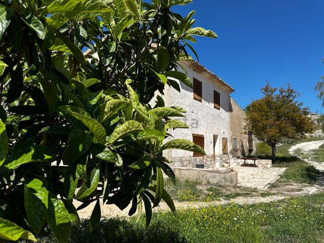 Casa rústica, Petrer