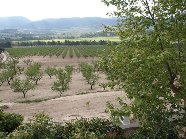 Casa rústica, Penaguila