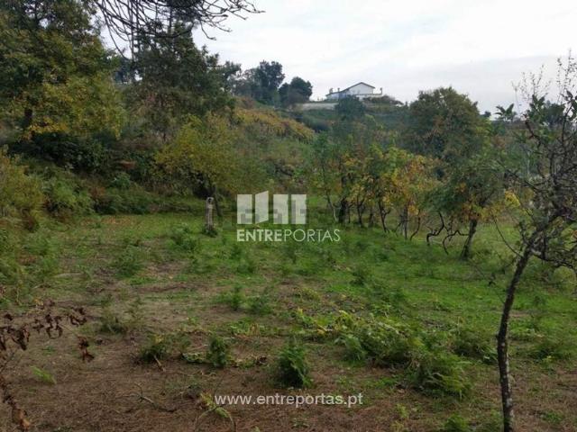 Casa rústica, Penha Longa