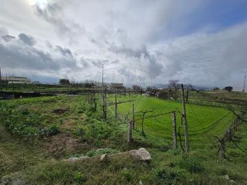 Casa rústica, Penselo