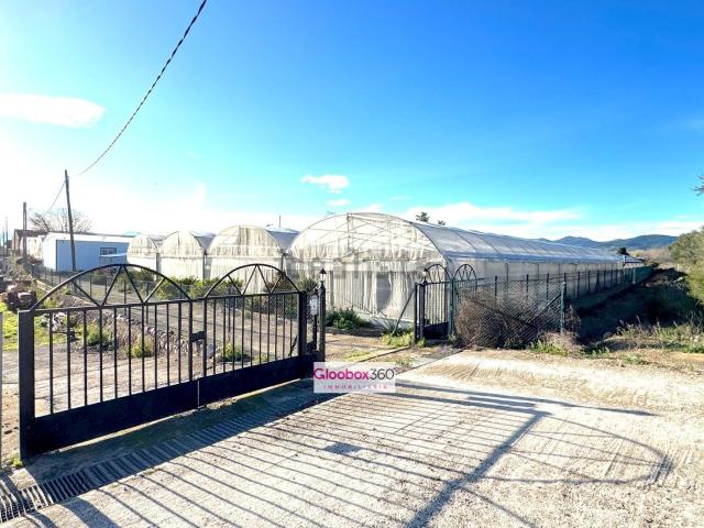 Casa rústica, Riudoms