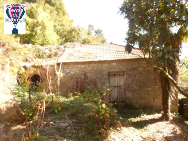 Casa Rústica / Ruína