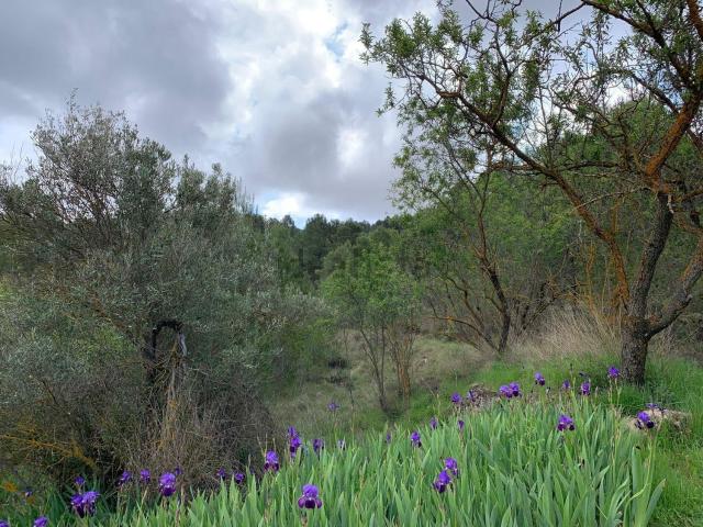Casa rústica, Torremanzanas