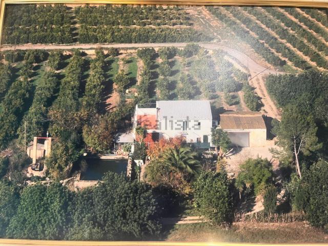 Casa rústica, Tortosa