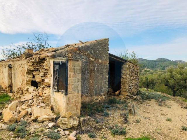Casa rústica, Tortosa
