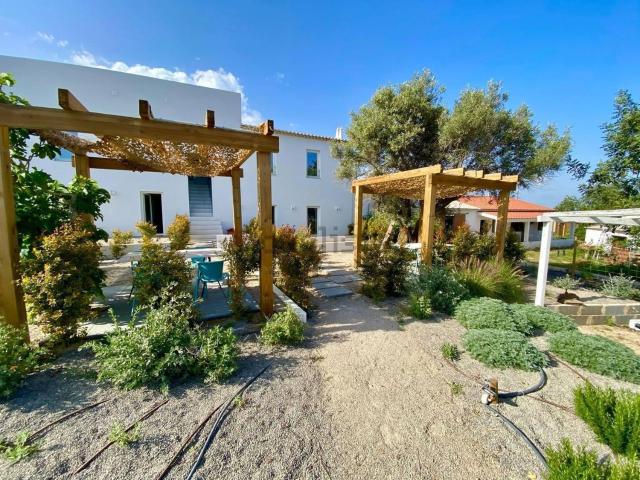 Casa rústica, Tavira
