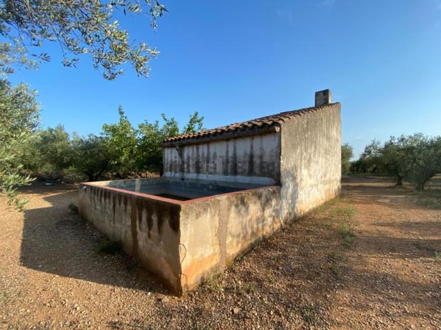 Casa rústica, Ulldecona