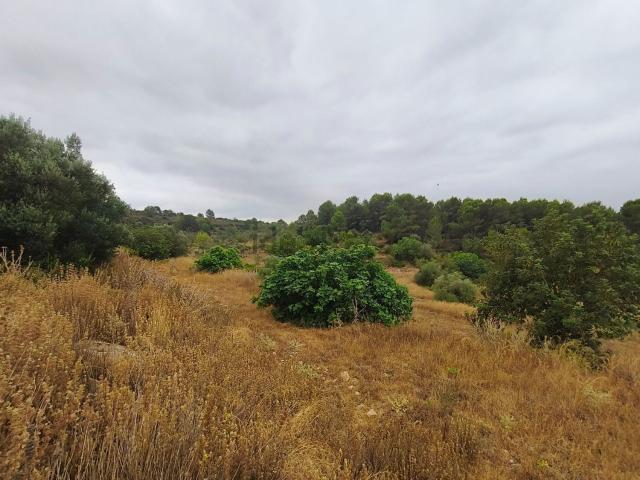 Casa rústica, Vall d&apos Alba