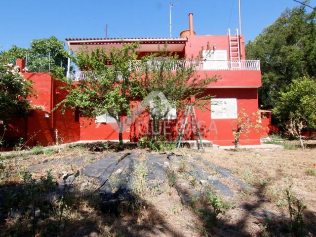 Casa rústica, Vega de San Mateo