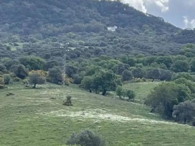 Casa rústica Venta Cortes de La Frontera, Cortes de la Frontera