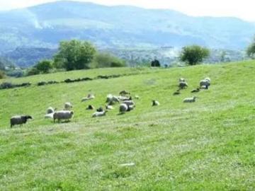 Esponzues, Cantabria