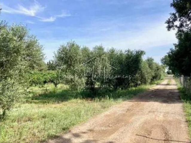 Casa rústica Venta Cambrils, Casc Antic Nou Cambrils