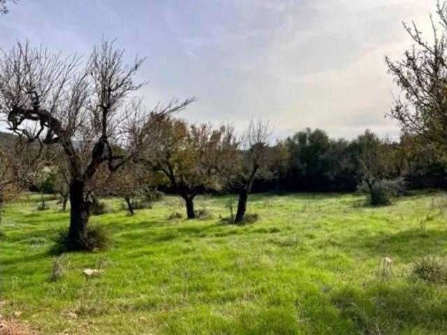 Casa rústica Venta Campanet, Campanet