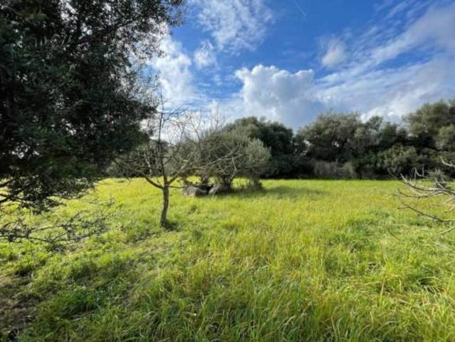 Casa rústica Venta Capdepera, Capdepera