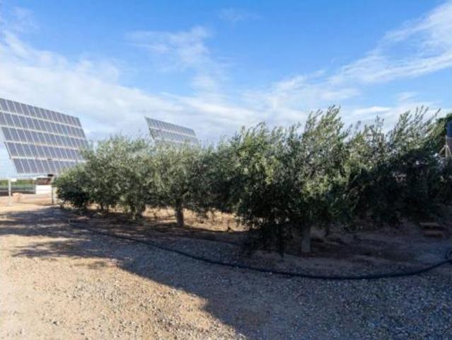 Casa rústica Venta Cartagena, Pozo Estrecho