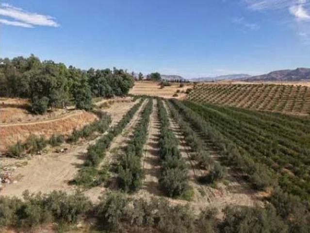 Casa rústica Venta Cártama, Estación de Cártama