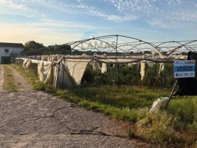 Casa rústica Venta Cuacos de Yuste, Cuacos de Yuste