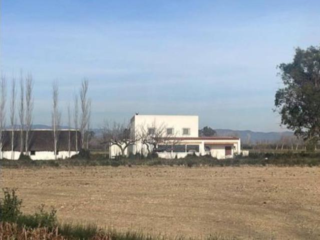 Casa rústica Venta Amposta, Poble Nou del Delta Eucaliptus