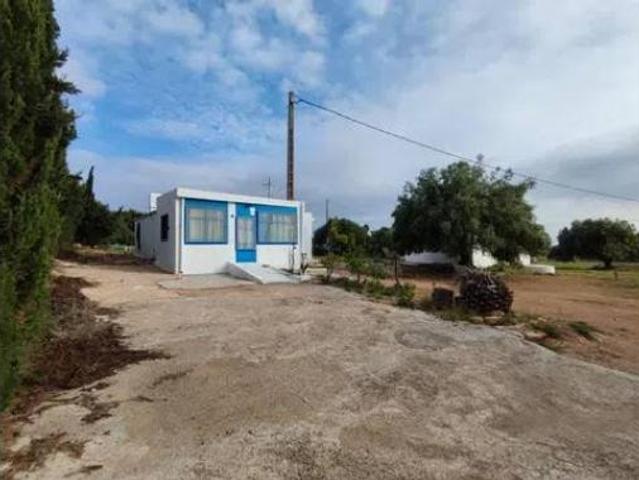 Casa rústica Venta Amposta, Poble Nou del Delta Eucaliptus