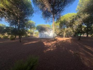 Jaén, Jaén, Andalucía, Andalucía